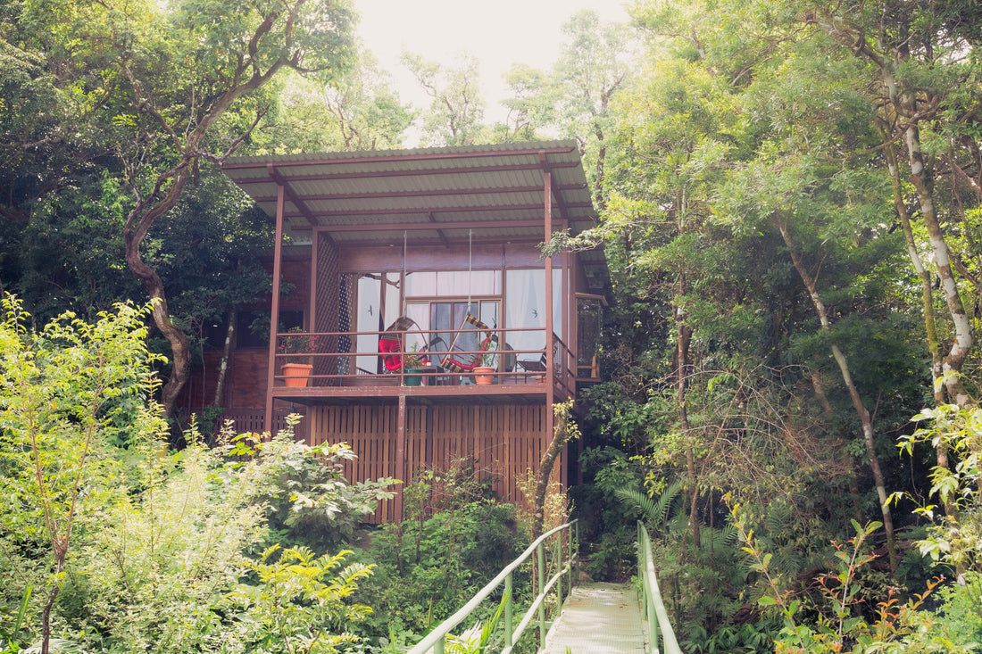 How a Trip to Costa Rica Inspired the Most Comfortable Hanging Chair Ever