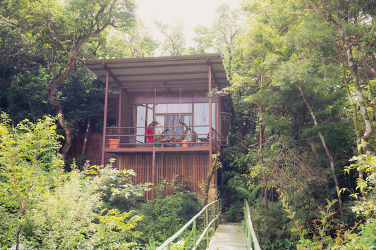 How a Trip to Costa Rica Inspired the Most Comfortable Hanging Chair Ever